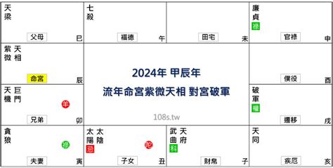 運勢分析|2025流年運勢 ️紫微斗數流年命盤分析